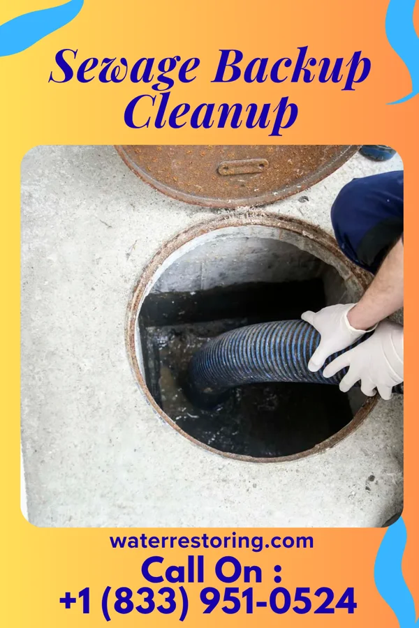 Sewage Backup Cleanup in Keswick, IA